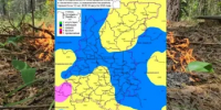 Сводка пожароопасности на 30.08.2026 - Министерство лесного хозяйства