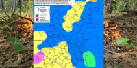 Сводка пожароопасности на 29.08.2026 - Министерство лесного хозяйства