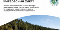 Интересные факты о вечной мерзлоте - Минэкологии РС(Я)