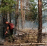 Пожар в Лозновском лесу ликвидирован - DonDay-Volgodonsk.Ru