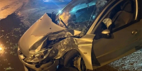В Твери 19-летняя автомобилистка на «Пежо» врезалась в дерево - Комсомольская Правда