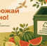 Люберчане смогут сдать излишки фруктов и бахчевых на переработку - Телеканал ЛТВ