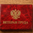 Ежемесячные денежные выплаты ветеранам труда и ветеранам военной службы. - Губкинский городской округ
