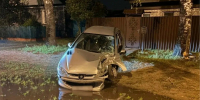 Ночью в Твери девушка-водитель сначала стукнула дерево, потом угодила в лужу - Афанасий-биржа