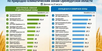 В Оренбургской области определили хозяйства с самой высокой урожайностью - Орская Газета