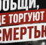 В Вологодской области стартует второй этап ежегодной Общероссийской акции «Сообщи, где торгуют смертью». - Бабушкинский муниципальный округ