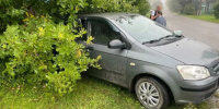 Школьница пострадала в аварии в костромском райцентре - Интернет-телевидение Логос