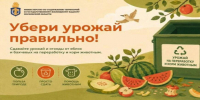 Каширян приглашают принять участие в акции по сдаче яблок и бахчевых культур на переработку - Администрация г.о. Кашира