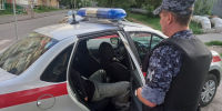 Житель Меленковского района накинулся и покусал за ногу сотрудника Росгвардии - 6tv.Ru