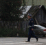 В Прикамье полиция обнаружила 24 очага дикорастущей конопли - Новости Перми PermNews.Ru