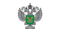 4 тонны специй и продовольственных семян запрещены к ввозу в Санкт-Петербурге - Россельхознадзор