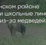 Поделитья во ВКонтакте - Братская Студия Телевидения