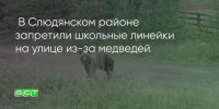 Поделитья во ВКонтакте - Братская Студия Телевидения