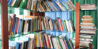 Назван топ книг, которые в каникулы читали свердловские школьники - EaNews.Ru