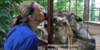 Калужскому центру реабилитации диких животных «Феникс» — 25 лет - Телерадиокомпания Ника
