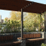 381785a5-438f-42d6-9f26-7c5a77eff4d8.jpg - Администрация г. Ростов-на-Дону