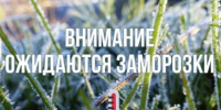 В Алтайском крае с 1 по 4 сентября ожидаются заморозки.. - Администрация Солонешенского района