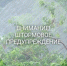 04.09.26 – 05.09.26 местами по области при прояснениях сохраняются заморозки -0..-2°С.. - Колпашевский район