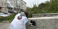 Двадцать надписей в рамках антинаркотической акции закрасили на улицах района - Администрация г. Барнаул