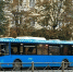 В Калининграде на линию вышел ЛиАЗ c логотипом «Мосгортранса» (фото) - Новости Калининграда | Фото Михаила Лаврукайтиса - Klops.Ru