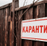 В Омской области ввели карантин из-за трех новых очагов смертельной инфекции - Комсомольская Правда