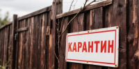 В Омской области ввели карантин из-за трех новых очагов смертельной инфекции - Комсомольская Правда