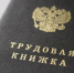 В Воронежской области сотрудники РЖД фиктивно устроили на работу 12 человек и украли 5,5 млн рублей - РИА Воронеж