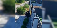 В Ямном трое парней в балаклавах избили воронежца - ГТРК Воронеж