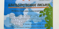 Координатора Правобережья Светлану Кознову наградили благодарственным письмом - ЛДПР
