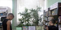 Библиотека№7 «Безопасный пешеход начинается с детства»,   обзор книжной выставки - ЦБС г. Саратова