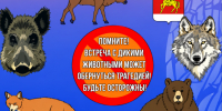 Правила поведения с дикими животными. - Каратузский район