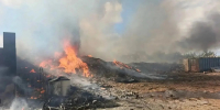 Площадь пожара на свалке во Всеволожском районе увеличилась - 47 новостей