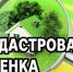 Извещение о размещении проекта отчета об итогах государственной кадастровой оценки земельных участков, расположенных на территории Свердловской области - Нижнетуринский городской округ