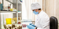 На какие цифры смотреть в анализах, если боитесь инфаркта и инсульта - Pchela.News