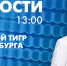 Новости Петербурга к 13:00 - tvspb.ru - ТК Санкт-Петербург