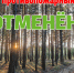 В Тюменской области отменён особый противопожарный режим - Yalutorovsk.Online