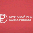 Цифровой рубль с 1 сентября: что это, как использовать и зачем он нужен - ОТВ