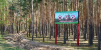 Четвертый класс пожароопасности лесов и торфяников ожидается на территории Нижегородской области - Администрация г. Нижний Новгород