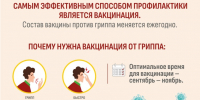 Новый мультфильм проекта «Санпросвет» из серии «Мультпросвет» – О важности вакцинации - Роспотребнадзор