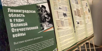 В Геническе открылась выставка «Ленинградская область в годы Великой Отечественной войны» - Петербургский дневник