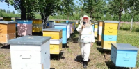 Зеленогорский предприниматель Юлия Казанцева получила грант 1 ммлн рублей на создание и развитие семейной пасеки - ТРК Зеленогорск