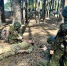 Сотрудники Росгвардии провели полевой выход совместно с Юнармией. - Росгвардия