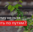 newsplaceholder - Мэрия городского округа Тольятти