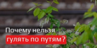 newsplaceholder - Мэрия городского округа Тольятти