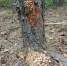 001-2026-09-01-gr.jpg - Ozersk74.Ru