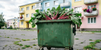 Региональный мусорный оператор - против ботвы! - Polevskoy24.Ru