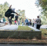 Фестиваль BRICS Skate Cup 2026 объединил в Рязани спортсменов из 27 стран мира - Газета Сельские вести