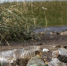 pollution-concept-water-with-garbage - ТРК Щелково