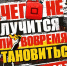 https://выход31.рф. - Муниципальное образование