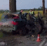 В Черняховском районе водитель Audi врезался в дерево и погиб - KaliningradNews.Ru